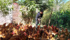 Mỗi ngày một tin tốt, mỗi tuần một câu chuyện đẹp: Ước mơ đến trường của cô học sinh có hoàn cảnh khó khăn