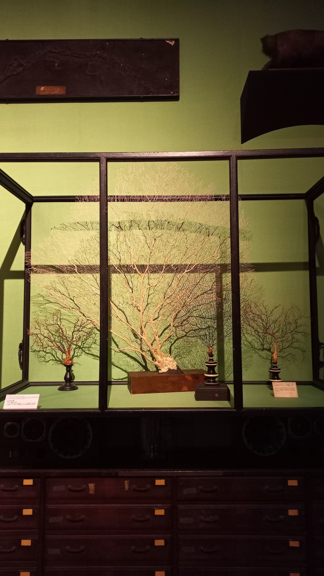 intermediatheque(1)