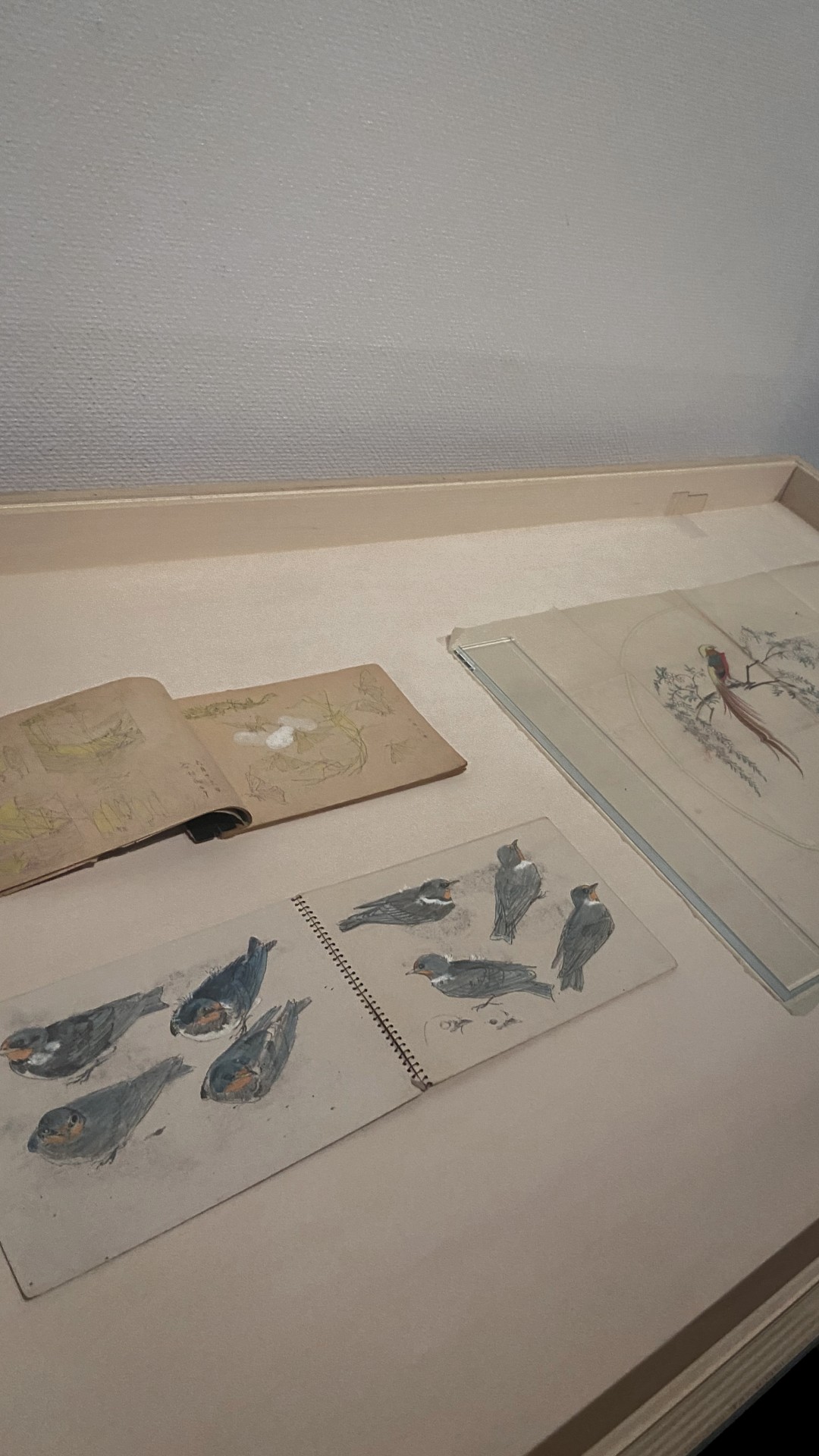 Modern art museum(1)