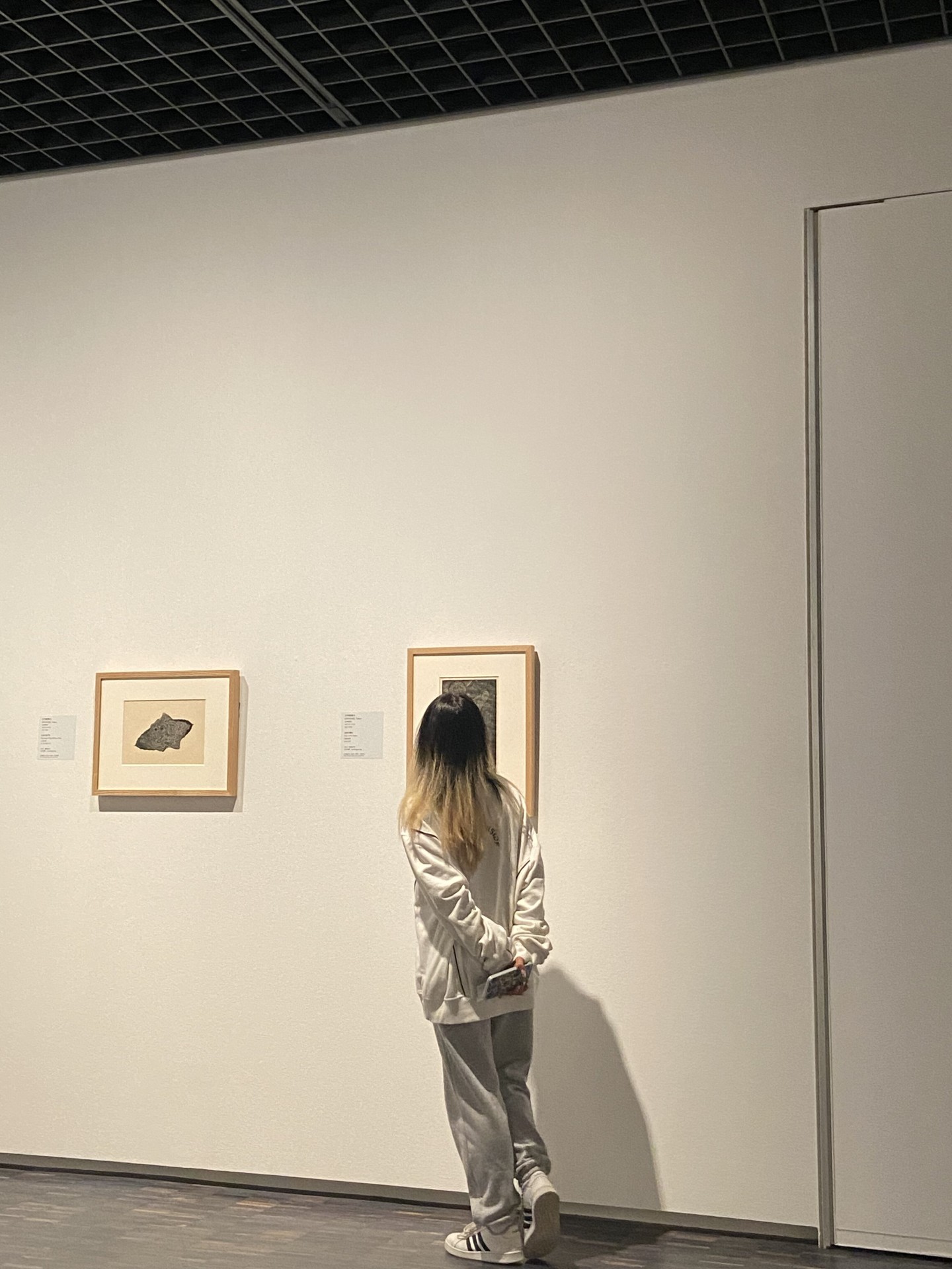 Modern art museum(1)